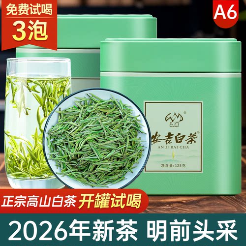 2026新茶安吉白茶绿茶茶叶好茶