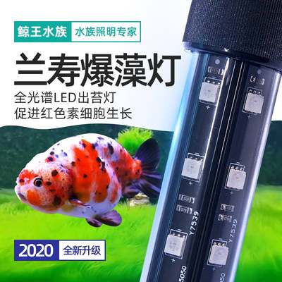兰寿金鱼专用鱼缸灯led灯防水超亮全光谱暴爆藻灯出苔潜水水草灯