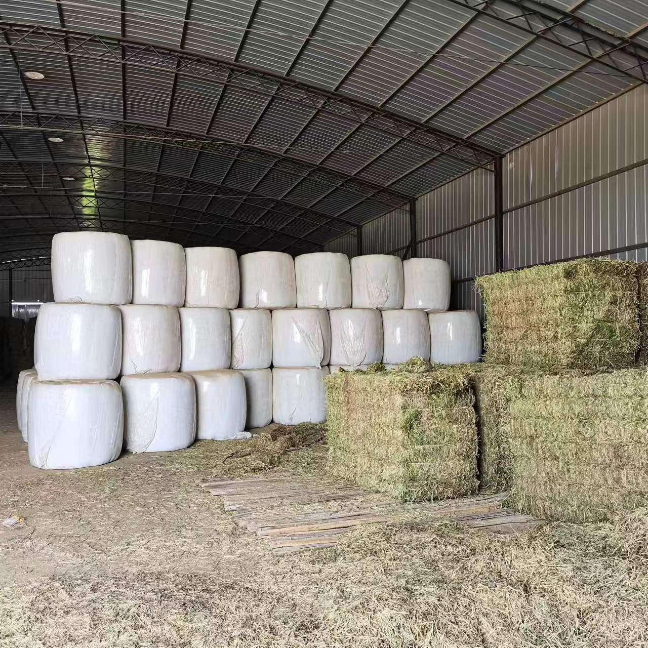 发酵草料青储饲料 苜蓿草发酵草料 牛羊草料反刍动物青贮牧草