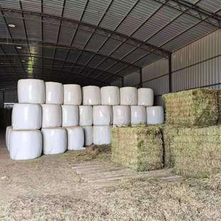 发酵草料青储饲料 苜蓿草发酵草料 牛羊草料反刍动物青贮牧草