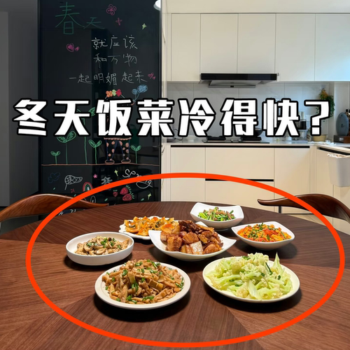 保温菜罩带盖饭桌剩饭剩菜多层冬天多功能防虫蝇盖菜罩管道清洁棒