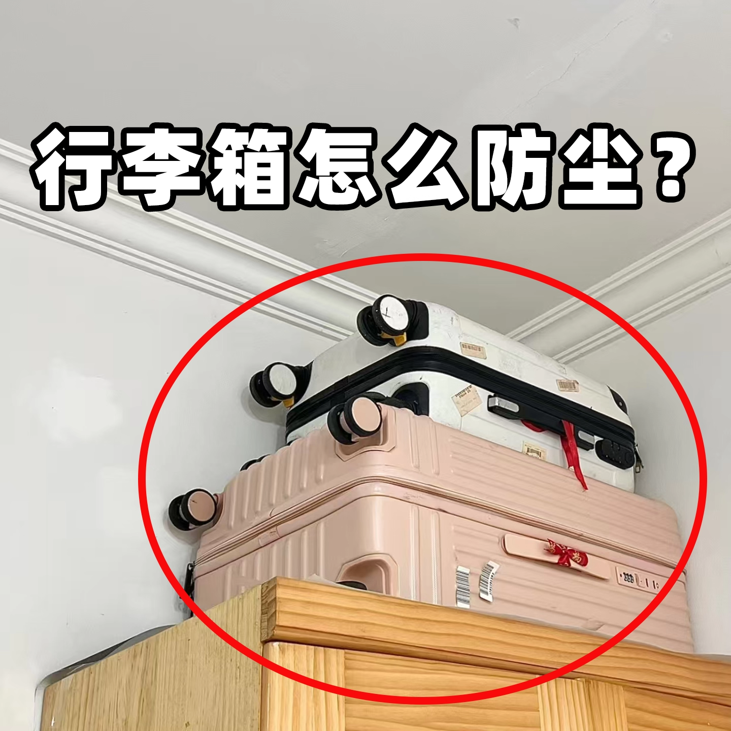 行李箱防尘罩万能全包无纺布旅行拉杆箱收纳保护套小拉车便携衣架