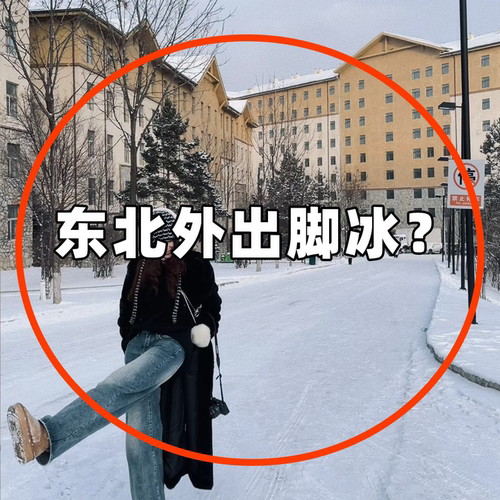 东北防寒装备全套哈尔滨旅游保暖可上飞机雪乡暖足贴女脚底可行走