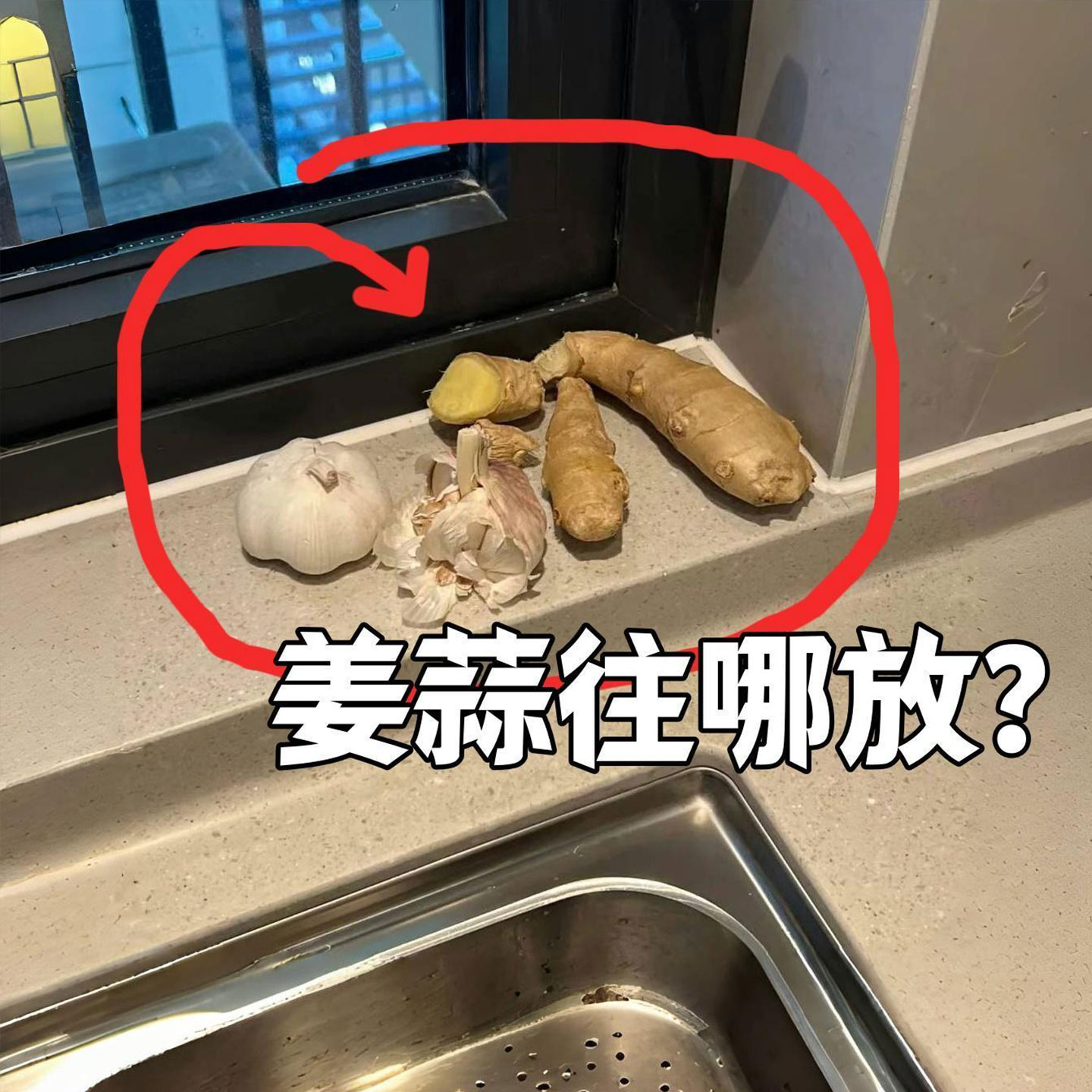 葱姜蒜收纳盒壁挂放生姜大蒜吸盘置物架免打孔收纳神器龙头置物架