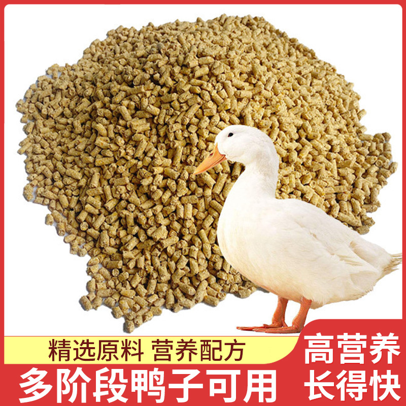 鸭饲料细颗粒小鸭子饲料专用山野雏粮食雏鸡成鸭通用高营养长得快