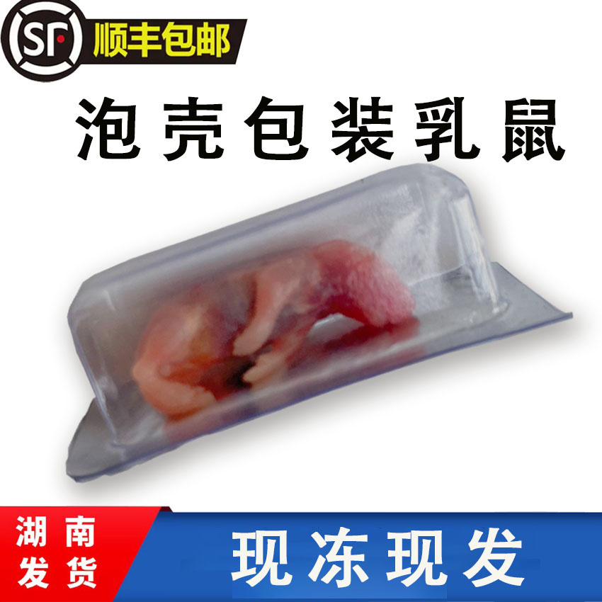 冷冻乳鼠小老鼠幼鼠冰冻小白鼠喂蛇饲料红皮独立包装湖南发货