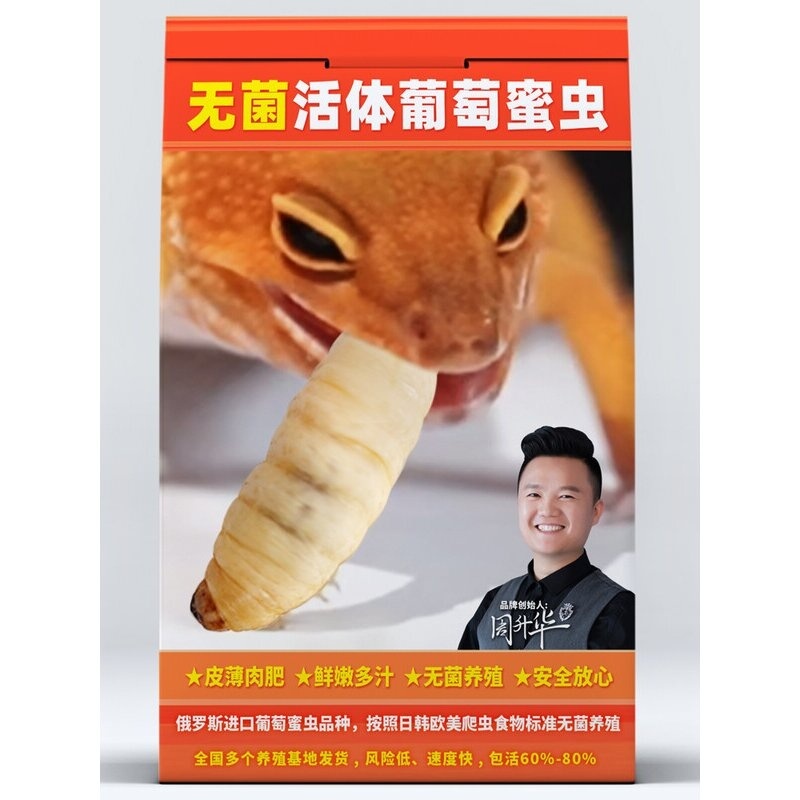 活体无菌玉米虫葡萄蜜虫捷角守宫角蛙蜘蛛乌龟仓鼠树蛙异宠鸟活食
