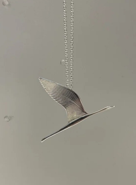 飞鹤金属吊坠项链女毛衣链锁骨链