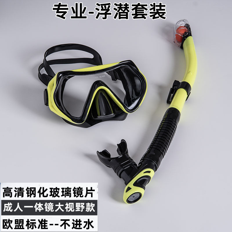 潜水镜浮潜三宝装备全干式呼吸管器套装成人儿童游泳面罩近视防雾