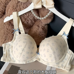 大码BM风胖MM大胸聚拢内衣女士软钢圈上托防下垂2025新款文胸套装