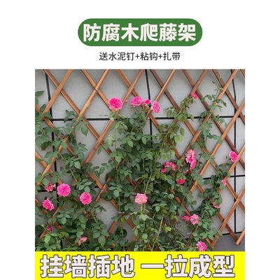 蔷薇爬藤架木栅栏围栏墙上月季支架壁挂室外阳台挂架花盆网格篱笆