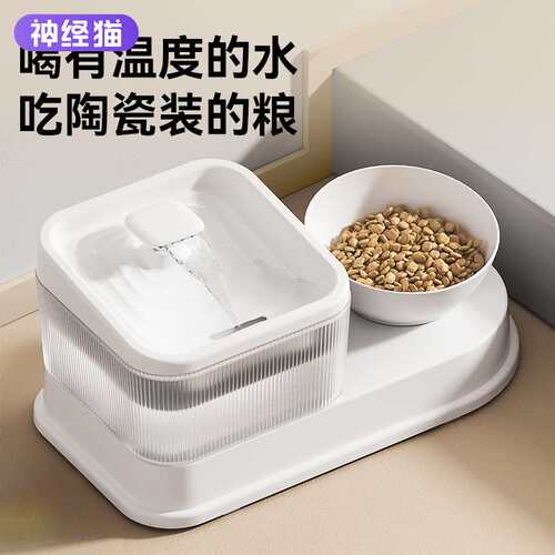 多功能饮水机宠物猫饮水喂食恒温加热活水循环自动饮水器滤芯猫碗