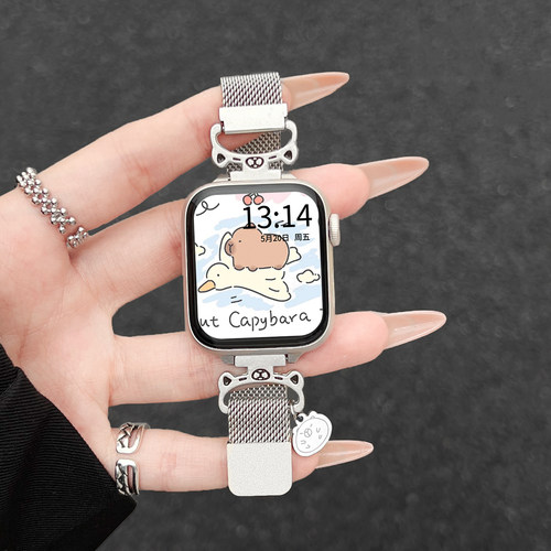 学长家新款可爱卡皮巴拉金属磁吸