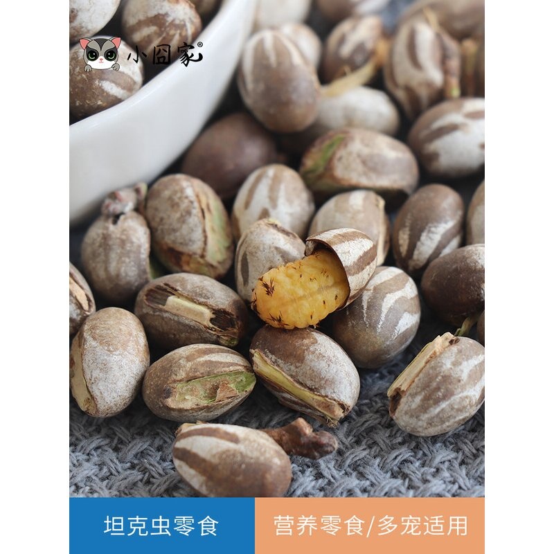 蜜袋鼯零食坦克虫幼虫洋辣子蜜袋鼬松鼠睡鼠刺猬仓鼠花枝鼠飞鼠