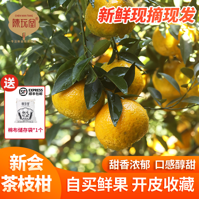 广东新会柑鲜果正宗东甲圈枝柑
