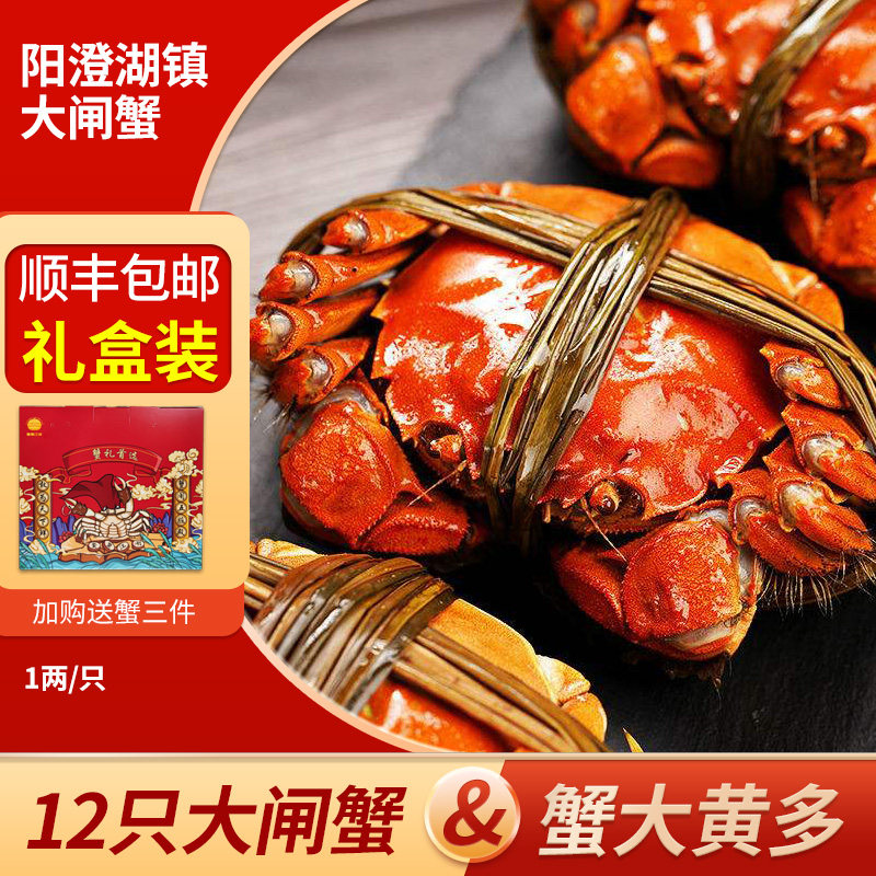 活蟹12只阳澄湖镇大闸蟹螃蟹鲜活礼盒装大公母蟹1两官方旗舰店