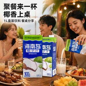 海南岛椰汁大瓶椰奶椰子汁