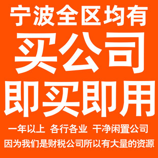 宁波一年以上信息咨询科技贸易实业劳务派遣公司转让法人股权变更