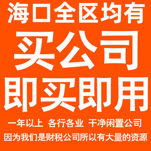 海口一年以上信息咨询科技贸易实业劳务派遣公司转让法人股权变更