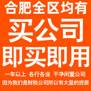 合肥一年以上信息咨询科技贸易实业劳务派遣公司转让法人股权变更