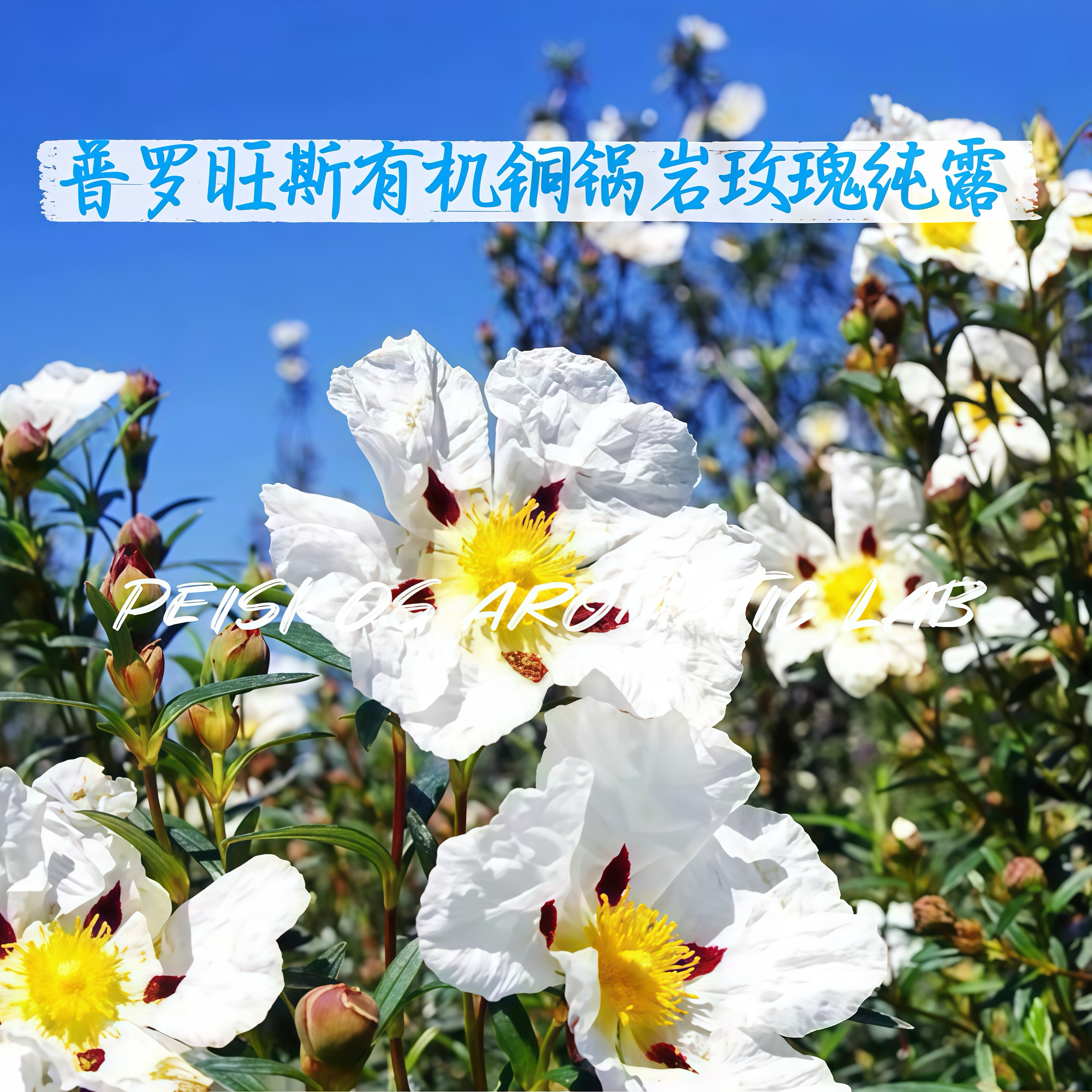 普罗旺斯有机岩玫瑰纯露铜锅蒸馏紧致淡纹湿敷焕颜DIY护肤原料