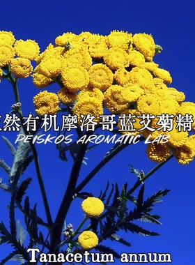 摩洛哥产 100%天然蓝艾菊单方精油 墨蓝色 高含量母菊天蓝烃