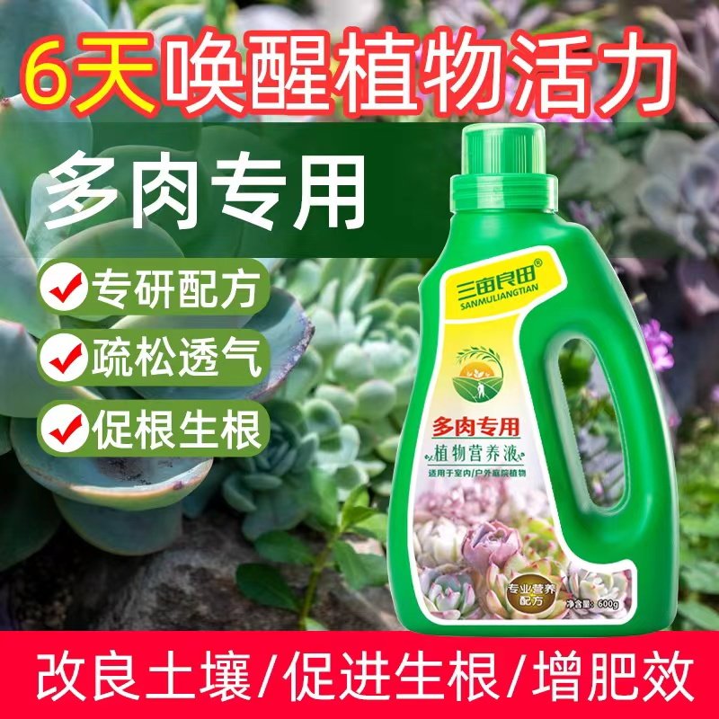 多肉营养液专用肥花肥料肉肉植物浓缩家用盆栽水溶通用型增色生根,鲜花速递/花卉仿真/绿植园艺,家庭园艺肥料,淘宝优惠券,粉丝福利购,淘宝优惠卷