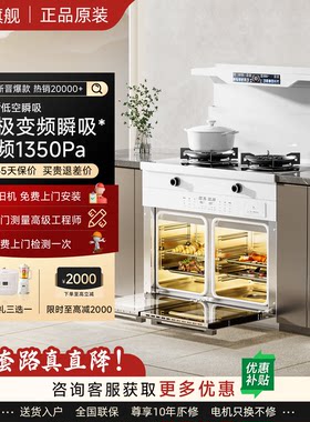 樱花树集成灶家用一体灶台蒸烤箱燃气灶吸油烟机厨房2026新款
