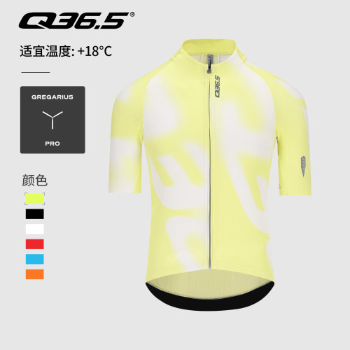 Q36.5骑行服26春夏款男士骑行短袖Gregarius Pro Big Logo Jersey