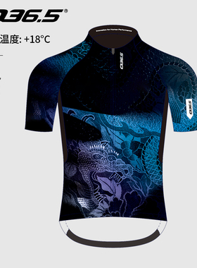 意大利Q36.5骑行服短袖上衣男款女款夏季Pinarello龙年限定系列