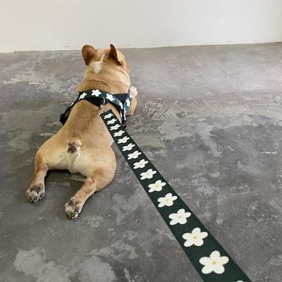 新款直销狗狗牵引绳胸背带中型大型犬遛狗金毛拉布拉多背心式成犬