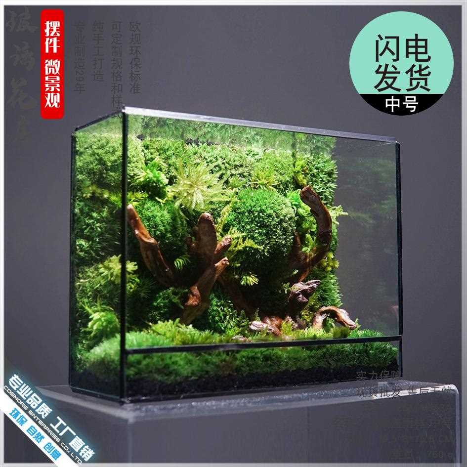 新款直销生态瓶苔藓微景观绿植盆栽水草鱼缸装饰造景摆件几个森林