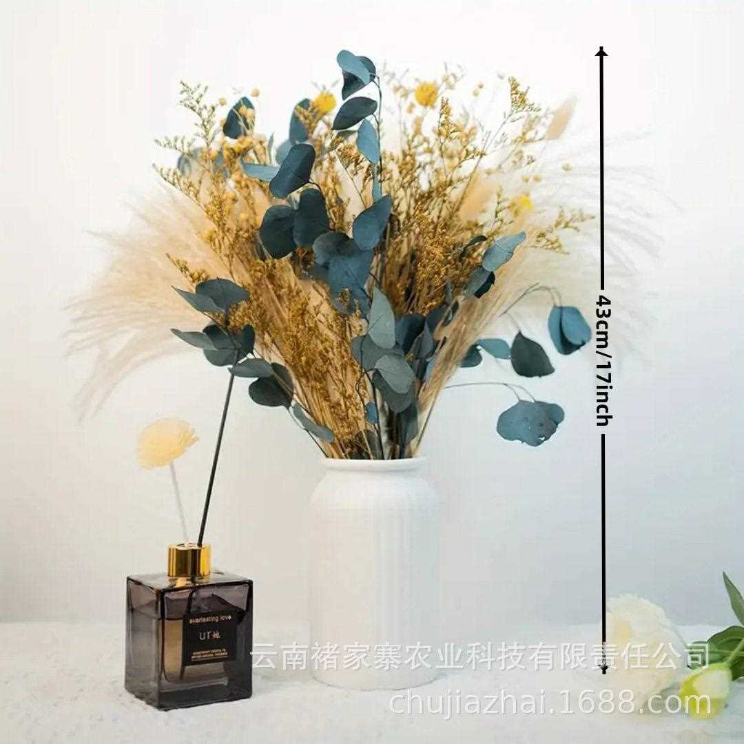 新款直销小芦苇草家居装饰干花花束小拂尘芦苇花束兔尾草