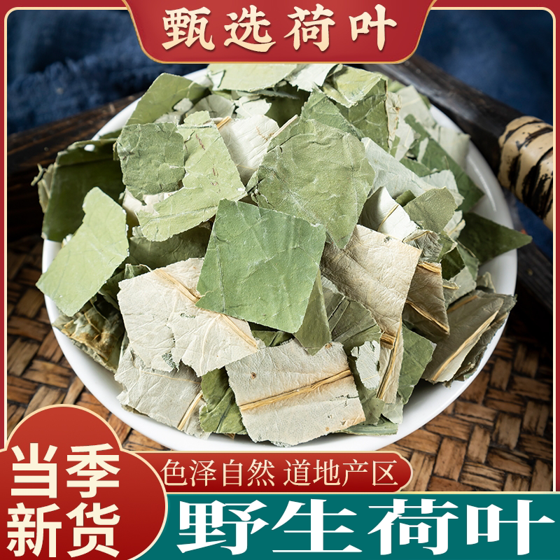 中药材特级野生荷叶500g克新