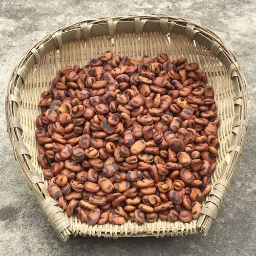 炒蚕豆铁板胡豆原味农家锅炒炒豌豆超硬干货炒货零食馋豆小吃袋装