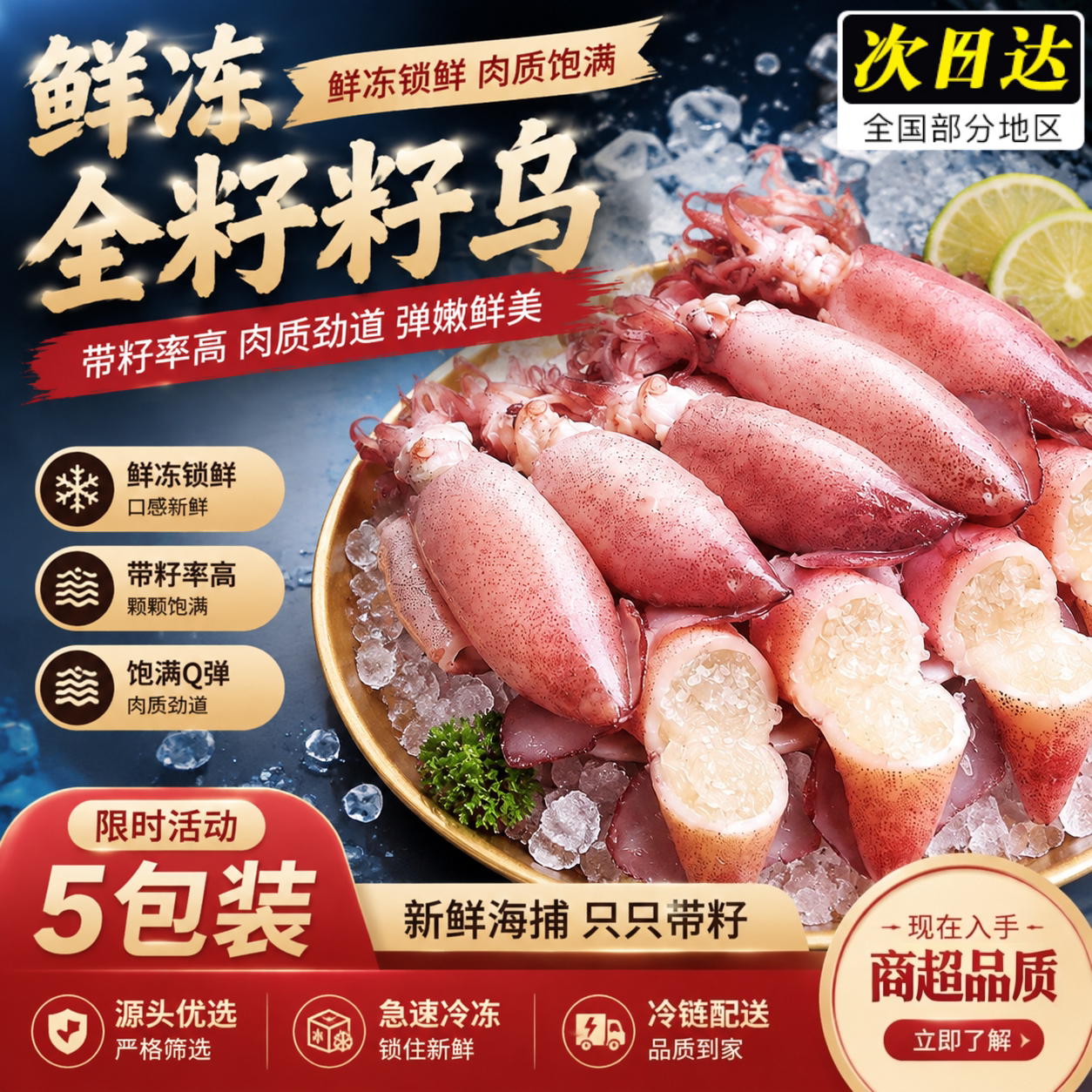 满籽冷冻新鲜鱿鱼批发