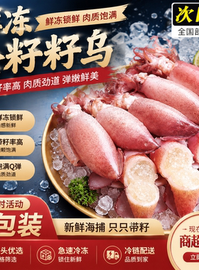 满籽冷冻新鲜鱿鱼批发