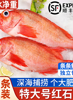 深海现捕红石斑大眼鱼新鲜活冷冻长寿富贵石斑鱼海鲜水产红石斑鱼