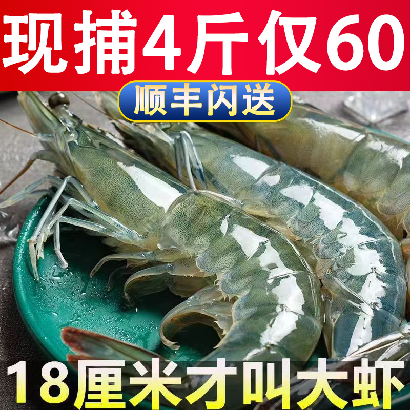 青岛大虾鲜活速冻超大海捕大虾大清虾对虾白虾基围虾速冻海鲜 水产肉类/新鲜蔬果/熟食 冻虾 原图主图