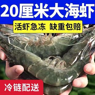 青岛超大虾鲜活急冻大海虾对虾基围虾大虾新鲜海捕水产整箱鲜虾