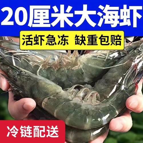 青岛超大虾鲜活急冻对虾基围虾