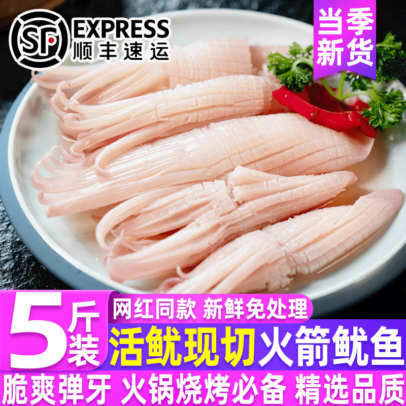 鲜冻火箭鱿鱼活鱿现切海捕鱿鱼火箭鱿鱼火锅食材鱿鱼串串烧烤商用