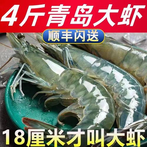 青岛大虾鲜活超大海捕大虾基围虾
