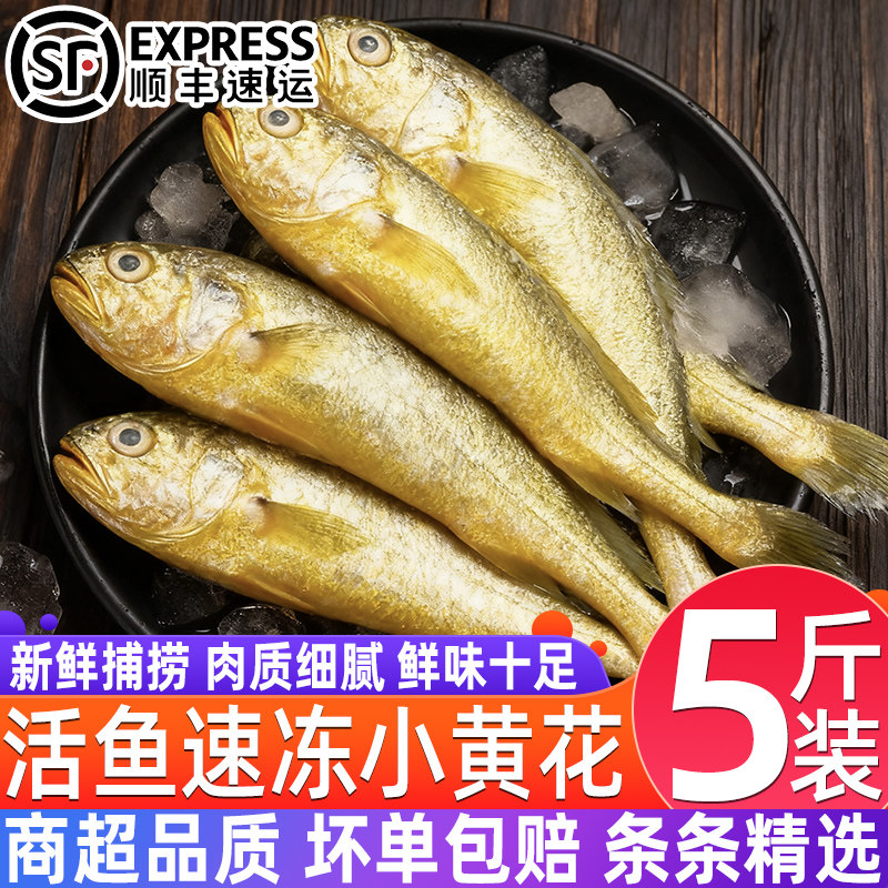 正宗小黄花鱼新鲜冷冻小黄鱼生鲜水产海鲜小黄鱼整箱商用批发顺丰,水产肉类/新鲜蔬果/熟食,黄鱼,淘宝优惠券,粉丝福利购,淘宝优惠卷