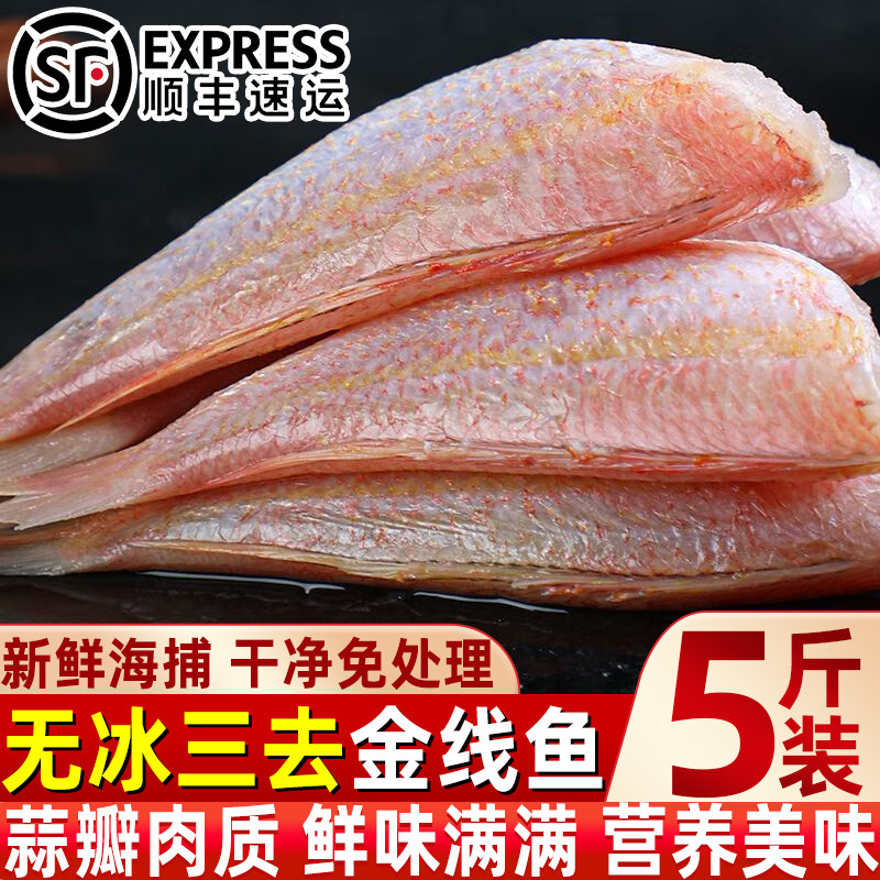 无冰去头金线鱼新鲜速冻金线鱼海鱼内脏去头大号金线鱼肉多红杉鱼