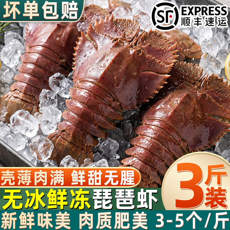无冰鲜冻大九齿扇虾商用顺丰