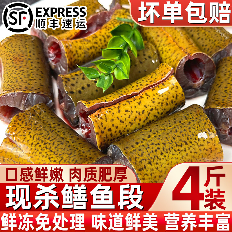 冷冻精选黄鳝切段半成品批发