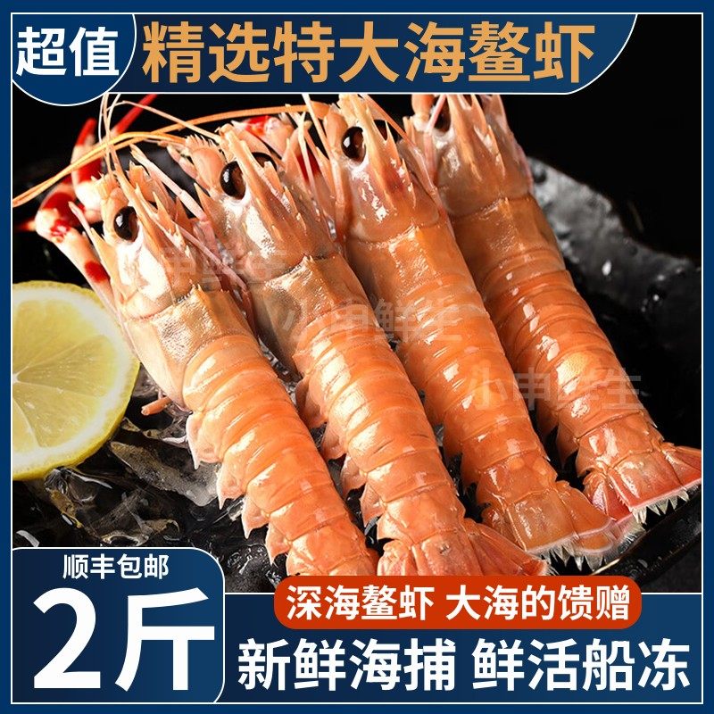 海鳌虾特大鲜活野生海虾日料刺身