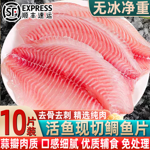 新鲜鲷鱼片速冻纯鱼肉去皮无骨无刺新鲜现切原味生鱼片鱼排食材