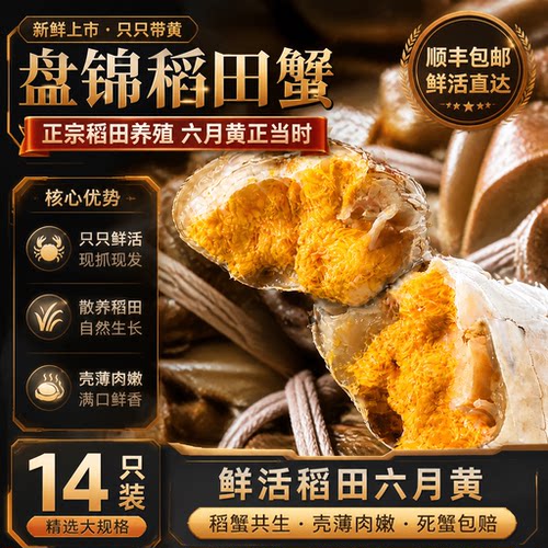 盘锦河蟹鲜活到家六月黄小螃蟹公蟹正宗盘锦稻田蟹小闸蟹批发商用